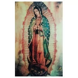 Virgen de Guadalupe Imagen 25x40 cm en azulejo